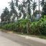  Land for sale in Surat Thani, Bo Phut, Koh Samui, Surat Thani