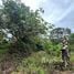 1 Bedroom House for sale in Alvarado Cartago, Alvarado, Cartago, Costa Rica