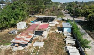 N/A Land for sale in Rim Tai, Chiang Mai 