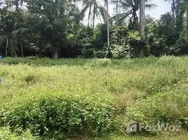 ขายที่ดิน ใน แม่น้ำ, สุราษฎร์ธานี, แม่น้ำ, เกาะสมุย