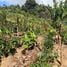  Terreno (Parcela) en venta en Costa Rica, Desamparados, San José, Costa Rica
