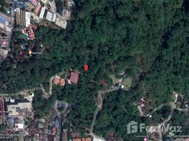 N/A Land for sale in Patong, Phuket 9 Rai Land For Sale In Kata