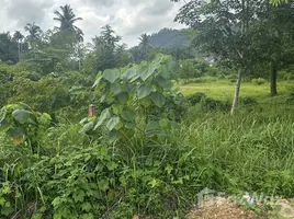 ขายที่ดิน ใน อ่าวนาง, กระบี่, อ่าวนาง