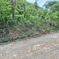  Terreno (Parcela) en venta en Costa Rica, Puntarenas, Puntarenas, Costa Rica