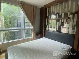 อพาร์ทเม้นท์ 1 ห้องนอน ให้เช่า ในโครงการ The Address Sukhumvit 42, พระโขนง, คลองเตย, กรุงเทพมหานคร