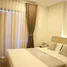 2 Bedroom Condo for rent at THE BASE Bukit, Wichit, Phuket Town, Phuket, Thailand
