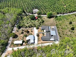 ขายที่ดิน ใน เทพกระษัตรี, ภูเก็ต, เทพกระษัตรี