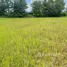  Земельный участок на продажу в Baan Deejai Koh Kha, Tha Pha