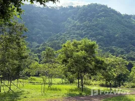ขายที่ดิน ใน เนินหอม, ปราจีนบุรี, เนินหอม, เมืองปราจีนบุรี, ปราจีนบุรี, ไทย