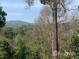  Terreno (Parcela) en venta en Chiang Mai, Huai Sai, Mae Rim, Chiang Mai