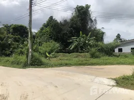 在FazWaz.cn出售的 土地, 帕洛, 塔朗, 普吉, 泰国