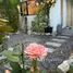 1 Bedroom House for rent in Pa Khlok, Phuket, Pa Khlok