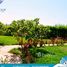 5 Bedroom Villa for sale at Mena 4, Mena, Markaz Al Hamam