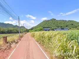 ขายที่ดิน ใน หนองน้ำแดง, นครราชสีมา, หนองน้ำแดง, ปากช่อง, นครราชสีมา, ไทย