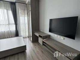 คอนโด 1 ห้องนอน ให้เช่า ในโครงการ ไนท์บริดจ์ ไพร์ม อ่อนนุช, พระโขนงเหนือ