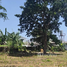  Land for sale in Ko Kaeo, Phuket Town, Ko Kaeo