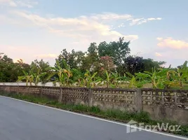 ขายที่ดิน ใน สารภี, เชียงใหม่, สารภี, สารภี