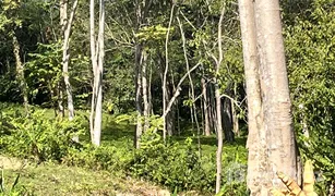 N/A Land for sale in Talat Nuea, Phuket 