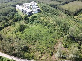 ขายที่ดิน ใน ศาลาด่าน, กระบี่, ศาลาด่าน, เกาะลันตา, กระบี่