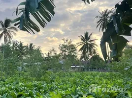  Terrain for sale in Lombok Tengah, West Nusa Tenggara, Lombok Tengah