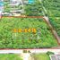  Земельный участок for sale in Khlong Maduea, Samut Sakhon, Khlong Maduea, Krathum Baen, Samut Sakhon