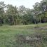  Land for sale at Uvita, Osa