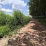  Land for sale in Bo Thong, Chon Buri, That Thong, Bo Thong