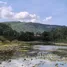  Land for sale in Mu Si, Nakhon Ratchasima, Mu Si, Pak Chong