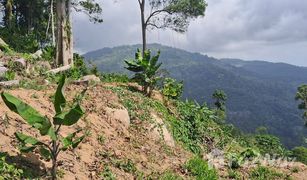 N/A Grundstück zu verkaufen in Lipa Noi, Koh Samui 