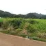 ขายที่ดิน ใน หนองน้ำแดง, นครราชสีมา, หนองน้ำแดง, ปากช่อง, นครราชสีมา, ไทย