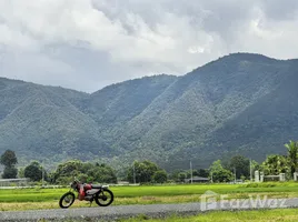  Land for sale in On Klang, Chiang Mai, On Klang