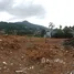  Terreno (Parcela) en venta en Phuket, Kamala, Kathu, Phuket