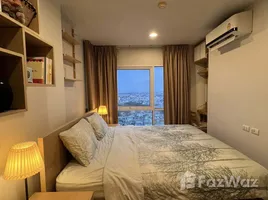 อพาร์ทเม้นท์ 1 ห้องนอน ให้เช่า ในโครงการ แบงคอก ฮอไรซอน รัชดา-ท่าพระ, ดาวคะนอง, ธนบุรี