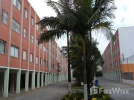 在Vila Lutécia租赁的2 卧室 住宅, Santo Andre, Santo Andre, 圣保罗州一级, 巴西