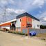  Земельный участок на продажу в Pinthongland Factory Village, Lahan