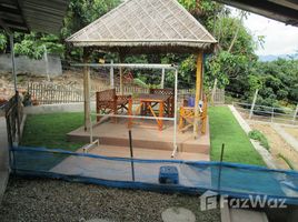 2 Bedrooms House for sale in Ban Luang, Chiang Mai 4 Rai House with Land For Sale in Chiang Mai