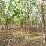  Land for sale in Mueang Nong Bua Lam Phu, Nong Bua Lam Phu, Na Mafueang, Mueang Nong Bua Lam Phu