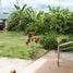 3 Bedroom House for sale in Tha Wang Phrao, San Pa Tong, Tha Wang Phrao