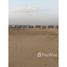  Land for sale at Bait Al Watan Al Takmely, Northern Expansions