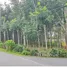  Land for sale in Thalang, Phuket, Thep Krasattri, Thalang