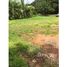  Land for sale in Hojancha, Guanacaste, Hojancha