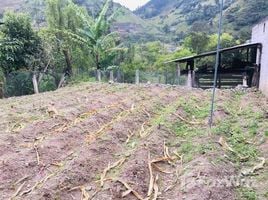  Terrain for sale in Azuay, Gualaceo, Gualaceo, Azuay