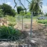  Land for sale in Rim Tai, Chiang Mai, Rim Tai, Mae Rim