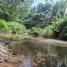 ขายที่ดิน ใน สะเนียน, น่าน, สะเนียน, เมืองน่าน