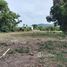  Land for sale in Na Mueang, Surat Thani, Na Mueang