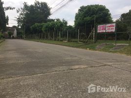 N/A Land for sale in Nong Chom, Chiang Mai 244 sqw Land for Sale in San Klang