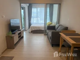 ขายอพาร์ทเม้นท์ 1 ห้องนอน ในโครงการ พลัม คอนโด สุขุมวิท 62, บางจาก, พระโขนง