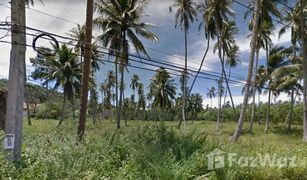 苏梅岛 湄南海滩 N/A 土地 售 