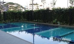 รูปถ่าย 3 of the Communal Pool at ลุมพินี วิลล์ สุขุมวิท 77-2