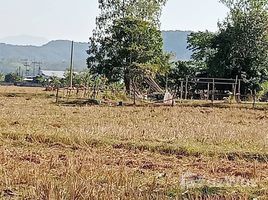 ขายที่ดิน ใน น้ำโจ้, ลำปาง, น้ำโจ้